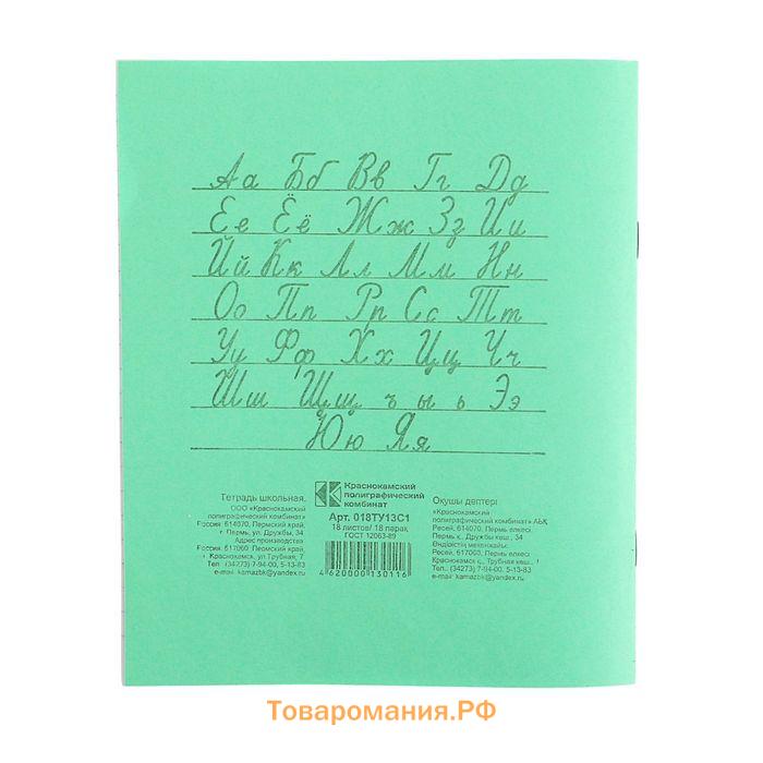 Тетрадь 18 листов в линейку «Зелёная обложка», серые листы, 58-63 г/м²