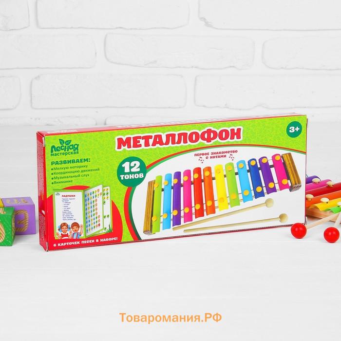 Металлофон, 12 тонов + карточки с песнями