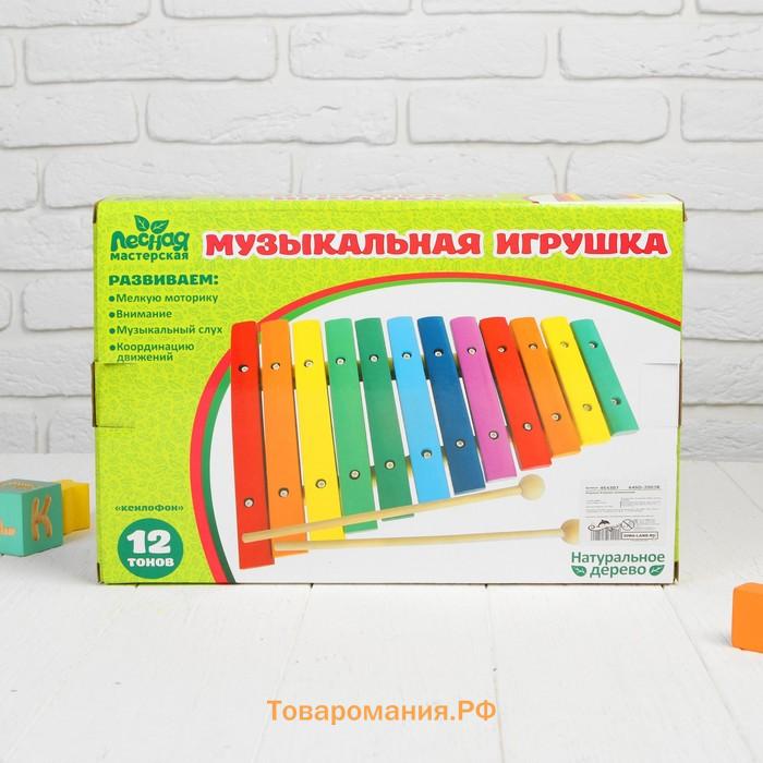 Музыкальная игрушка «Ксилофон», 12 тонов + 2 палочки