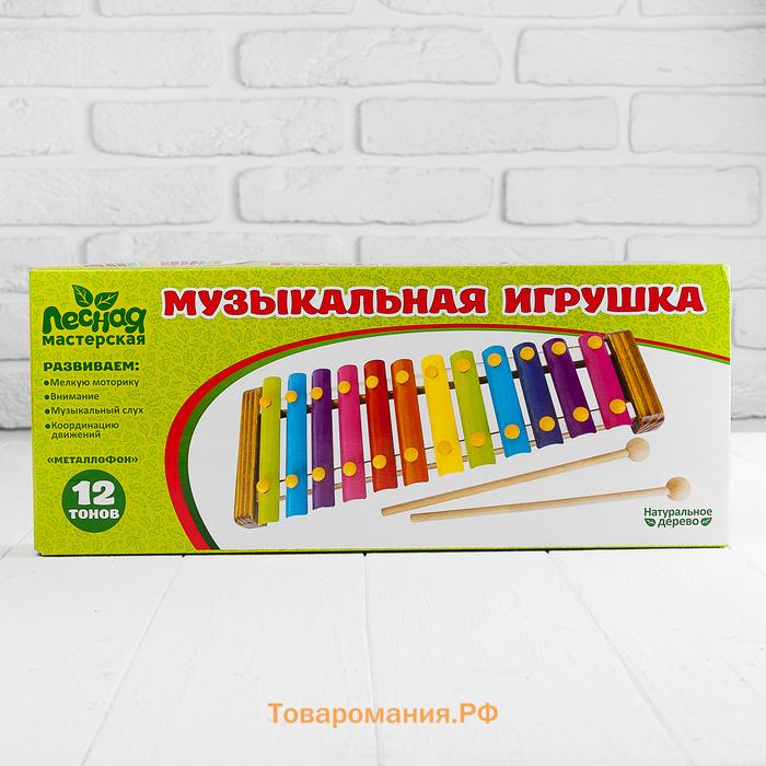 Игрушка музыкальная Металлофон, 12 тонов