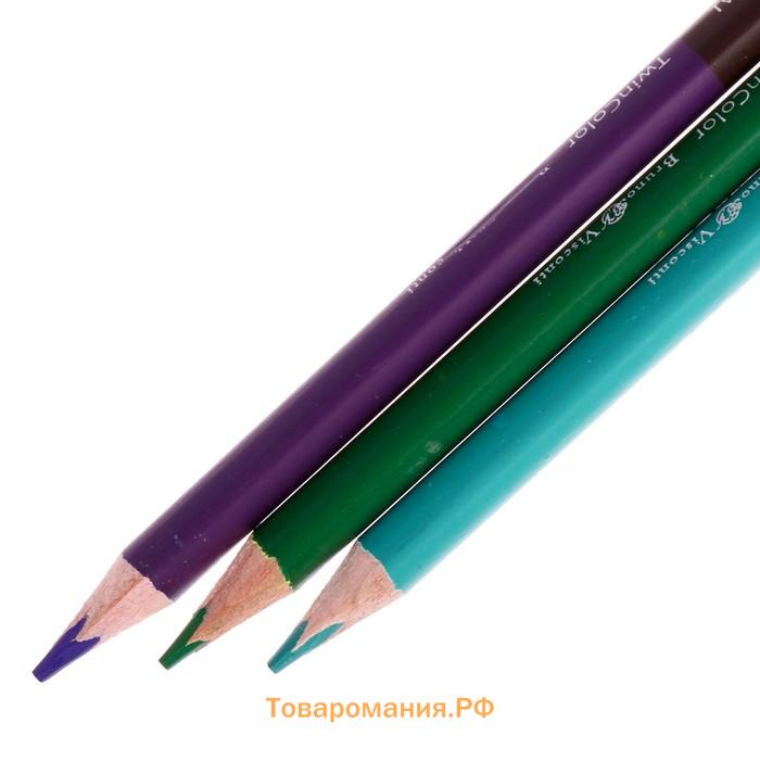 Карандаши цветные 36 цветов 18 штук Twincolor Happy, МИКС