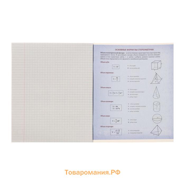 Тетрадь предметная 48 листов в клетку Calligrata "3D. Геометрия", серые листы