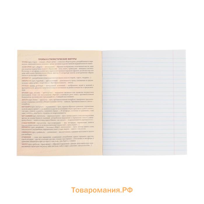 Тетрадь предметная 48 листов в клетку Calligrata, «Футбол. Литература», обложка мелованный картон