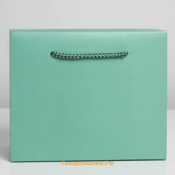Пакет—коробка «Тиффани», 28 × 20 × 13 см