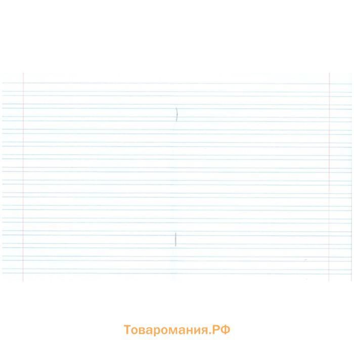 Тетрадь 12 листов в узкую линейку "Зеленая обложка" бумажная фабрика, офсет №1, 60 г/м2, белизна 96%