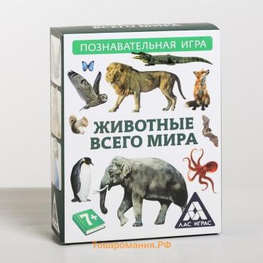 Настольная игра-викторина «Коробочка знаний. Животные всего мира», 50 карт, кубик, 7+