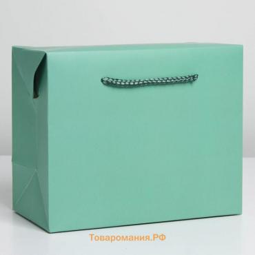 Пакет—коробка «Тиффани», 28 × 20 × 13 см
