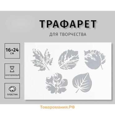 Пластиковый трафарет для творчества «Листики», шаблон, 16×24 см